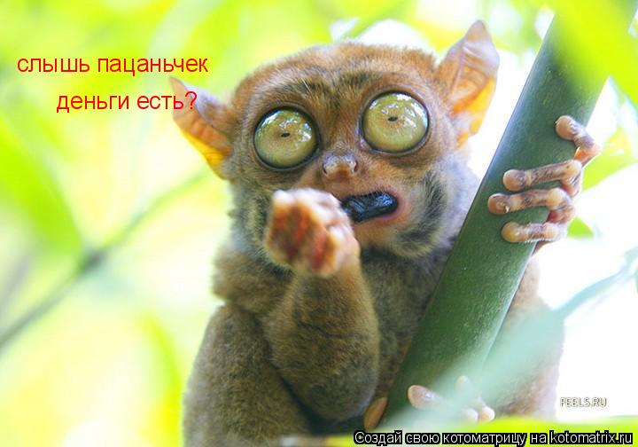 http://kotomatrix.ru/images/lolz/2008/12/01/8n.jpg