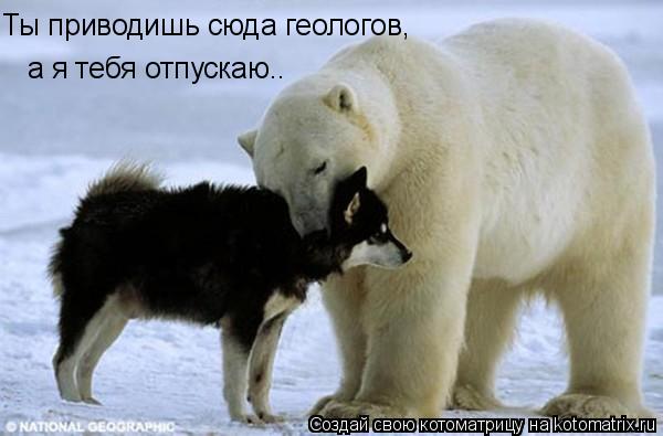 Ты приводишь сюда геологов, а я тебя отпускаю..... Котоматрица: Ты приводишь сюда геологов, а я тебя отпускаю..