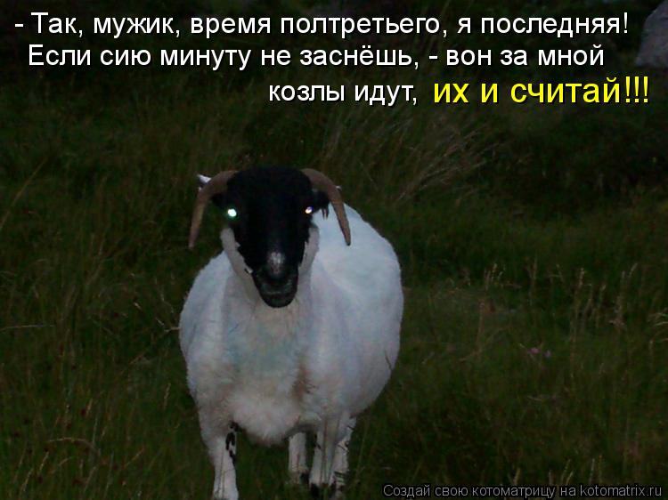 - Так, мужик, время полтретьего, я последняя! Если сию минуту не заснёшь, - вон за мной козлы идут, ... Котоматрица: - Так, мужик, время полтретьего, я последняя! Если сию минуту не заснёшь, - вон за мной козлы идут, их и считай!!!