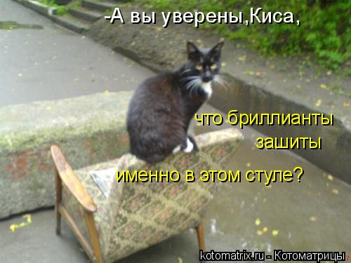 -А вы уверены,Киса, что бриллианты зашиты именно в этом стуле?... Котоматрица: -А вы уверены,Киса, что бриллианты зашиты именно в этом стуле?