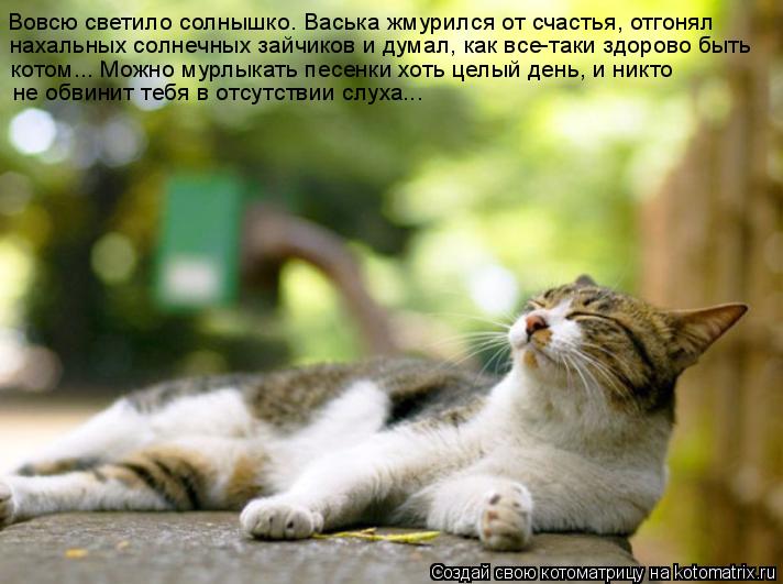 Вовсю светило солнышко. Васька жмурился от счастья, отгонял нахальных солнечных зайчиков и думал, ка... Котоматрица: Вовсю светило солнышко. Васька жмурился от счастья, отгонял нахальных солнечных зайчиков и думал, как все-таки здорово быть котом... Можно