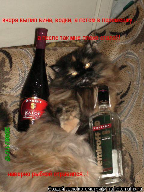 Котоматрица: вчера выпил вина, водки, а потом в перемешку... а после так мне плохо стало!!! наверно рыбкой отравился...!