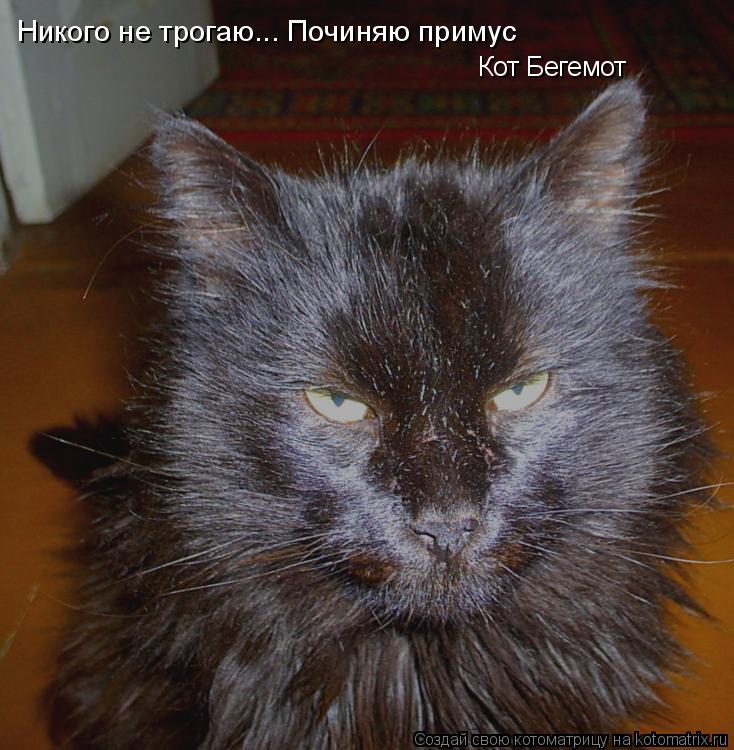 Никого не трогаю... Починяю примус Кот Бегемот... Котоматрица: Никого не трогаю... Починяю примус Кот Бегемот