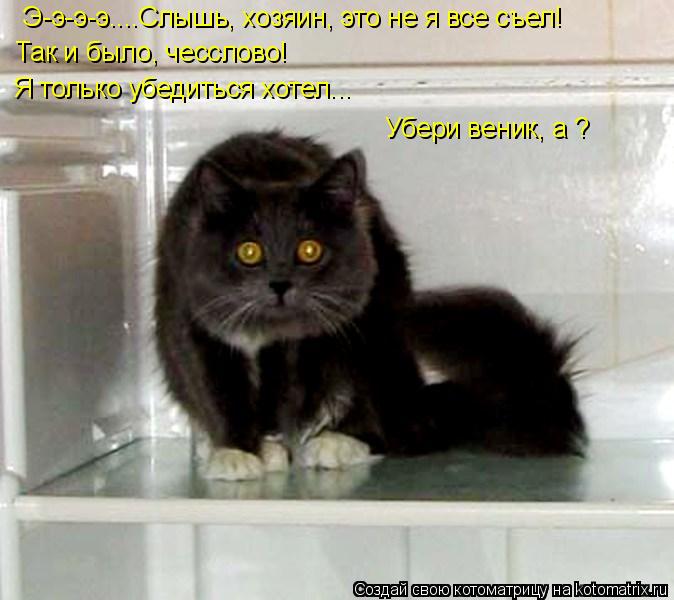 Котоматрица: Э-э-э-э....Слышь, хозяин, это не я все съел!  Так и было, чесслово! Я только убедиться хотел... Убери веник, а ?