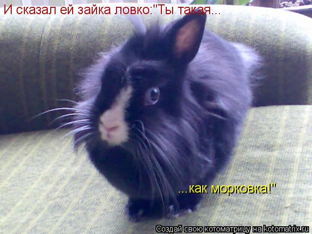 Стих ты такая как морковка Стих ты такая как морковка