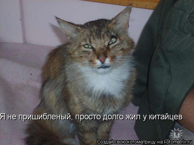 Я не пришибленый, просто долго жил у китайцев