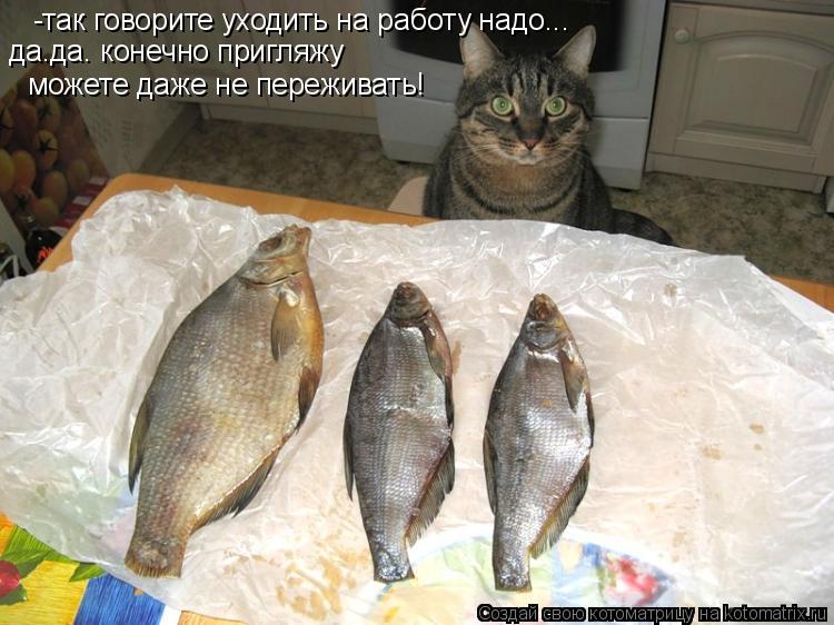-так говорите уходить на работу надо... да.да. конечно пригляжу можете даже не переживать!... Котоматрица: -так говорите уходить на работу надо... да.да. конечно пригляжу можете даже не переживать!
