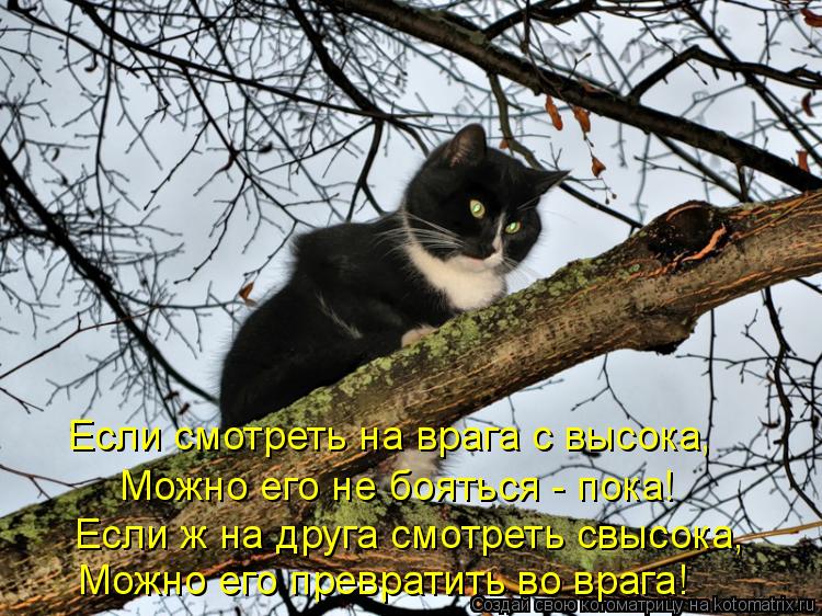 Можно его не бояться - пока! Если смотреть на врага с высока, Если ж на друга смотреть свысока, Можно... Котоматрица: Можно его не бояться - пока! Если смотреть на врага с высока, Если ж на друга смотреть свысока, Можно его превратить во врага!