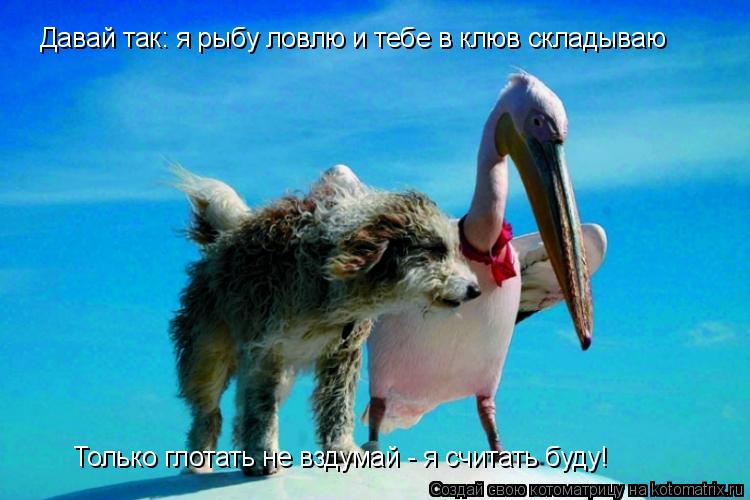 мир ловил меня но не поймал что это мир ловил меня но не поймал что это