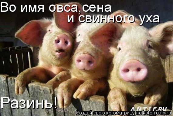 Во имя овса,сена и свинного уха Разинь!... Котоматрица: Во имя овса,сена и свинного уха Разинь!