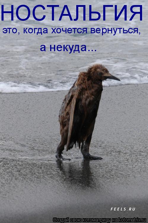 Котоматрица: НОСТАЛЬГИЯ это, когда хочется вернуться, а некуда...