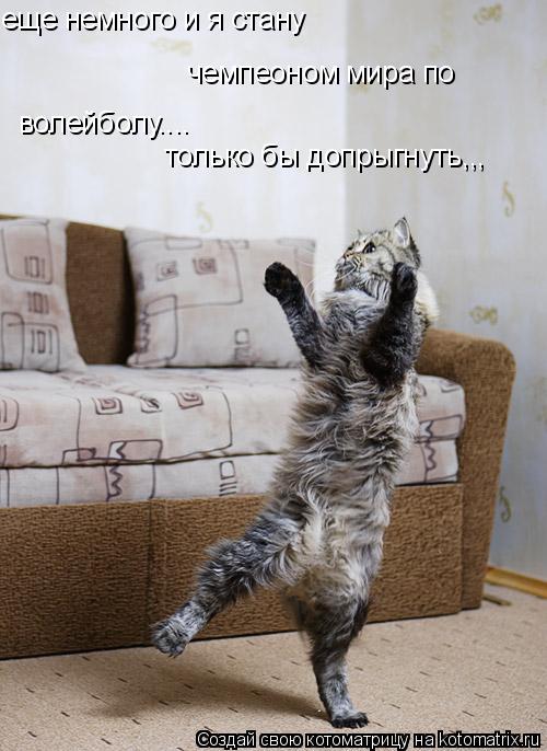 Котоматрица: еще немного и я стану  чемпеоном мира по волейболу.... только бы допрыгнуть,,,
