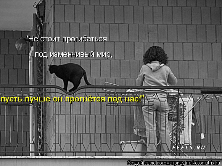 "Не стоит прогибаться под изменчивый мир, пусть лучше он прогнётся под нас!"... Котоматрица: "Не стоит прогибаться под изменчивый мир, пусть лучше он прогнётся под нас!"