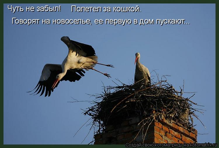 http://kotomatrix.ru/images/lolz/2008/12/04/Bk.jpg