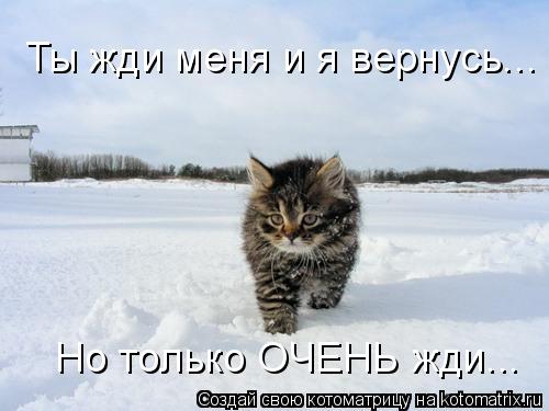 Ты жди меня и я вернусь... Но только ОЧЕНЬ жди...... Котоматрица: Ты жди меня и я вернусь... Но только ОЧЕНЬ жди...
