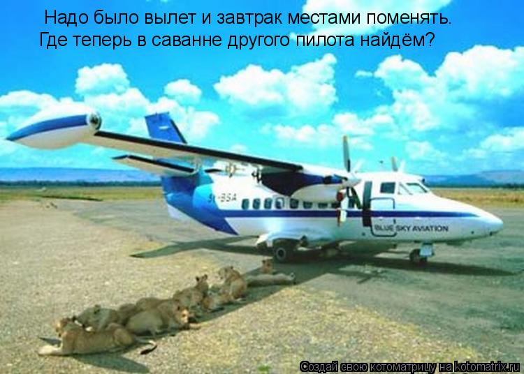 Надо было вылет и завтрак местами поменять. Где теперь в саванне другого пилота найдём?... Котоматрица: Надо было вылет и завтрак местами поменять. Где теперь в саванне другого пилота найдём?