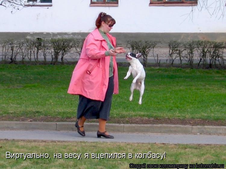 Котоматрица: Виртуально, на весу, я вцепился в колбасу!