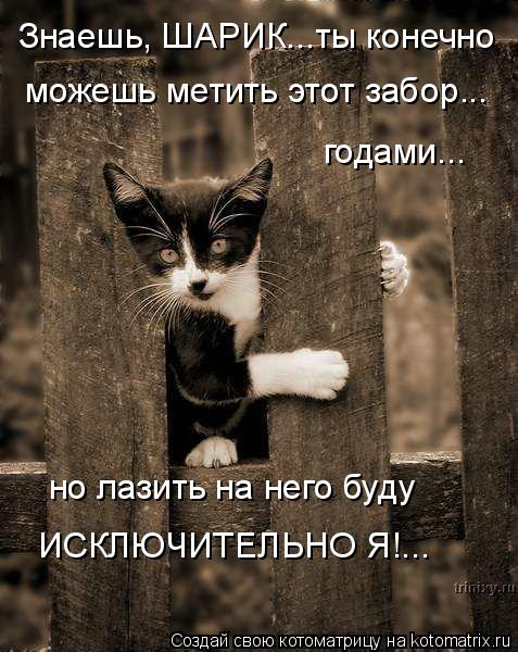 Котоматрица: Знаешь, ШАРИК...ты конечно можешь метить этот забор... но лазить на него буду ИСКЛЮЧИТЕЛЬНО Я!... годами...