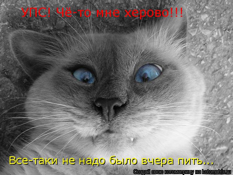 Котоматрица: УПС! Чё-то мне херово!!! Все-таки не надо было вчера пить...