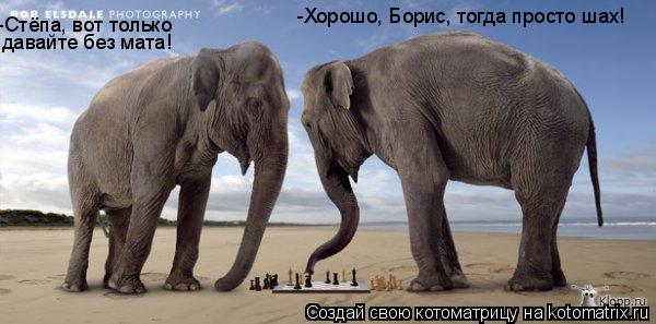 -Стёпа, вот только давайте без мата! -Хорошо, Борис, тогда просто шах!... Котоматрица: -Стёпа, вот только давайте без мата! -Хорошо, Борис, тогда просто шах!
