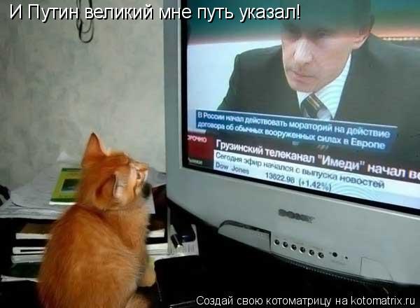 И Путин великий мне путь указал!... Котоматрица: И Путин великий мне путь указал!