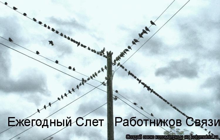Котоматрица: Ежегодный Слет   Работников Связи