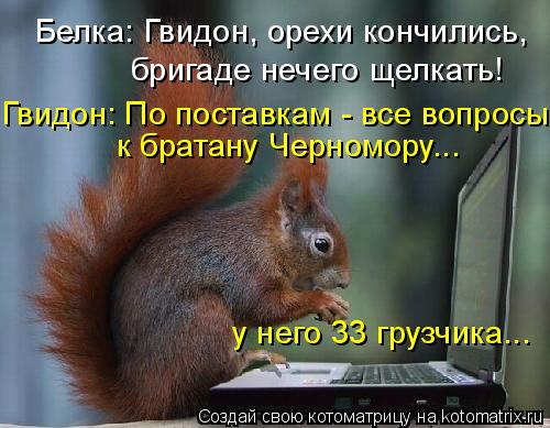 Котоматрица: Белка: Гвидон, орехи кончились,  бригаде нечего щелкать! Гвидон: По поставкам - все вопросы к братану Черномору... у него 33 грузчика...