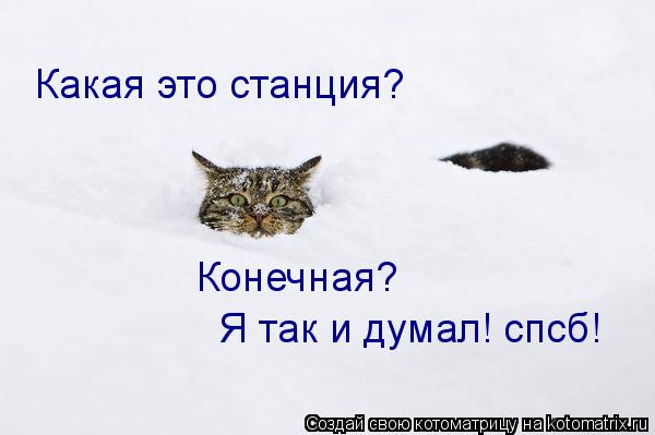 Какая это станция? Конечная? Я так и думал! спсб!... Котоматрица: Какая это станция? Конечная? Я так и думал! спсб!