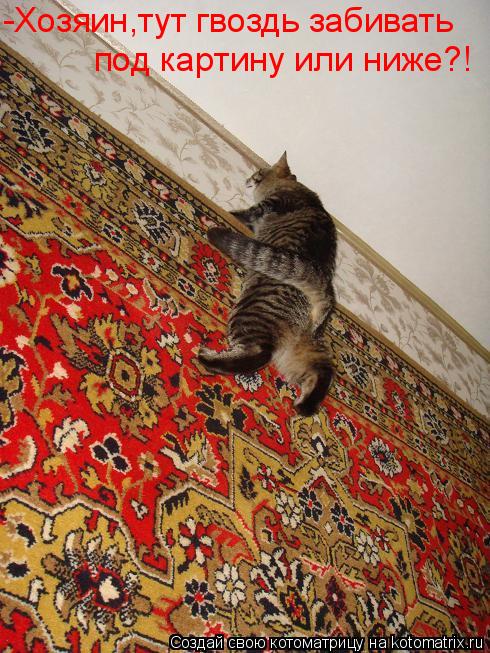 Котоматрица: -Хозяин,тут гвоздь забивать под картину или ниже?!