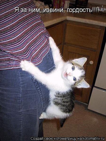 Котоматрица: Я за ним, извини, гордость!!!!