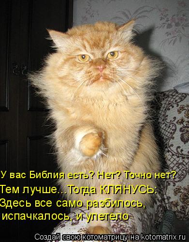 У вас Библия есть? Нет? Точно нет? Тем лучше...Тогда КЛЯНУСЬ: Здесь все само разбилось, испачкалось,... Котоматрица: У вас Библия есть? Нет? Точно нет? Тем лучше...Тогда КЛЯНУСЬ: Здесь все само разбилось, испачкалось, и улетело