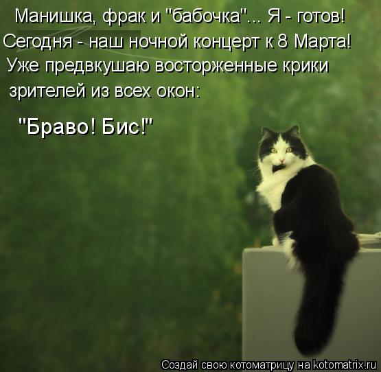 Котоматрица: Манишка, фрак и "бабочка"... Я - готов! Сегодня - наш ночной концерт к 8 Марта! Уже предвкушаю восторженные крики  зрителей из всех окон:   "Браво! 