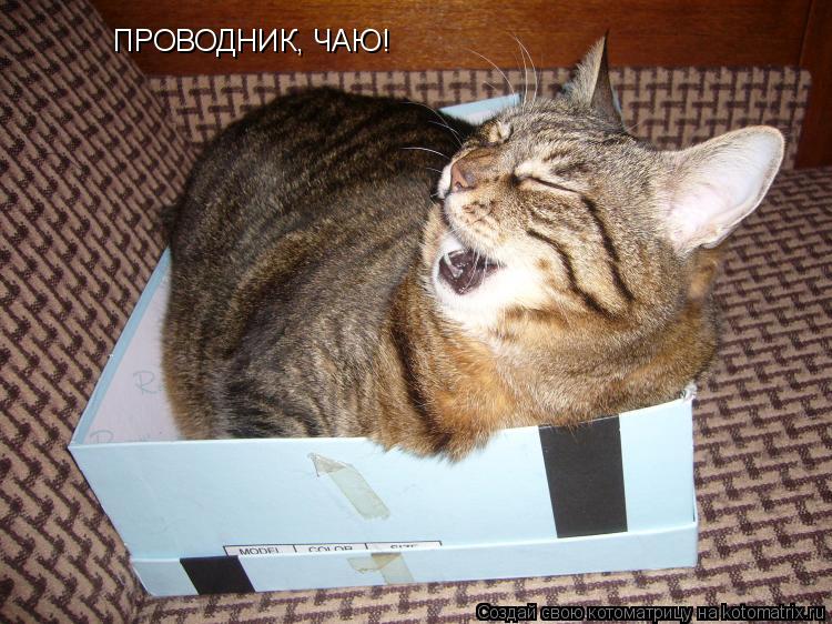 ПРОВОДНИК, ЧАЮ!... Котоматрица: ПРОВОДНИК, ЧАЮ!