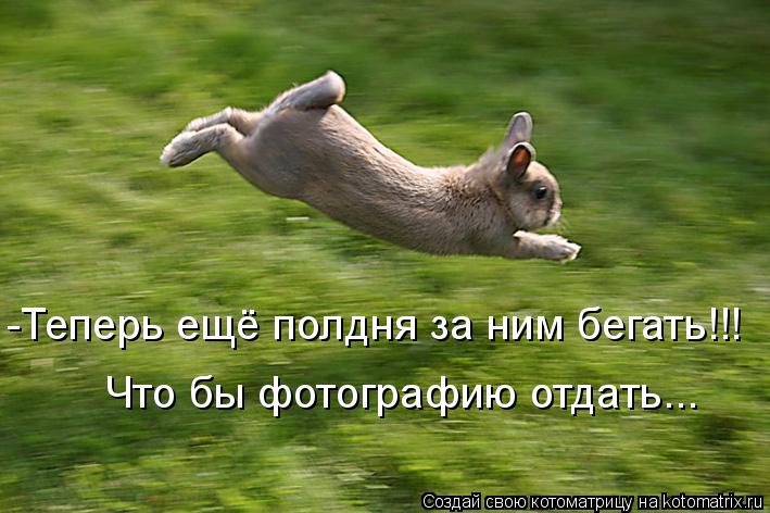 -Теперь ещё полдня за ним бегать!!! Что бы фотографию отдать...... Котоматрица: -Теперь ещё полдня за ним бегать!!! Что бы фотографию отдать...