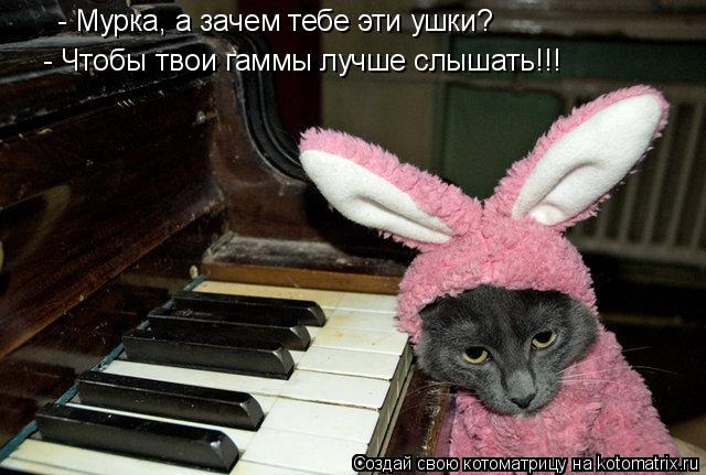 - Мурка, а зачем тебе эти ушки? - Чтобы твои гаммы лучше слышать!!!... Котоматрица: - Мурка, а зачем тебе эти ушки? - Чтобы твои гаммы лучше слышать!!!