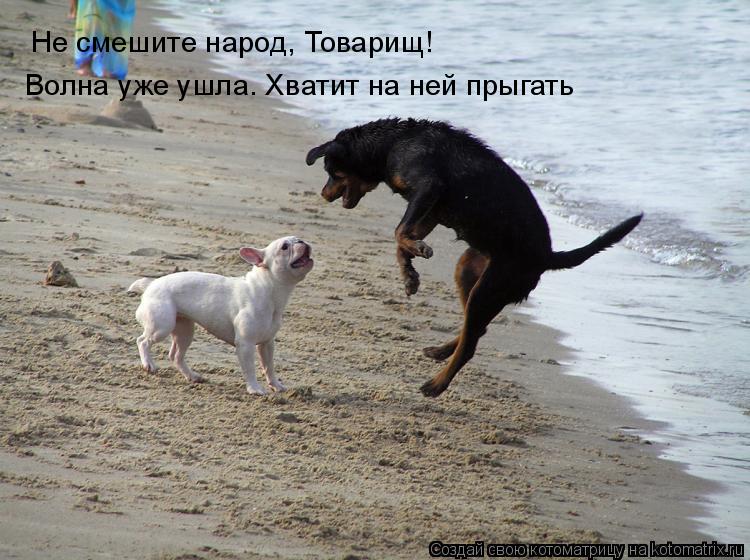 Не смешите народ, Товарищ! Волна уже ушла. Хватит на ней прыгать... Котоматрица: Не смешите народ, Товарищ! Волна уже ушла. Хватит на ней прыгать