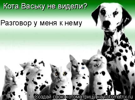 Кота Ваську не видели? Разговор у меня к нему... Котоматрица: Кота Ваську не видели? Разговор у меня к нему