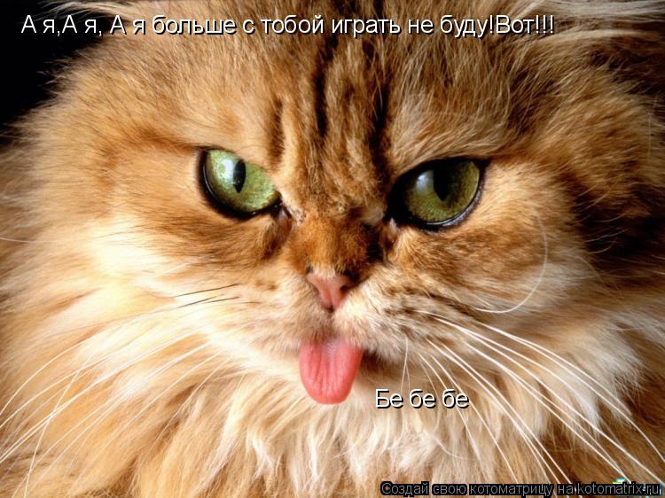 А я,А я, А я больше с тобой играть не буду!Вот!!! Бе бе бе... Котоматрица: А я,А я, А я больше с тобой играть не буду!Вот!!! Бе бе бе