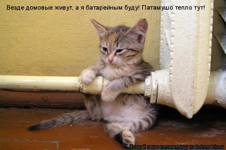 Везде домовые живут, а я батарейным буду! Патамушо тепло тут!... Котоматрица: Везде домовые живут, а я батарейным буду! Патамушо тепло тут!