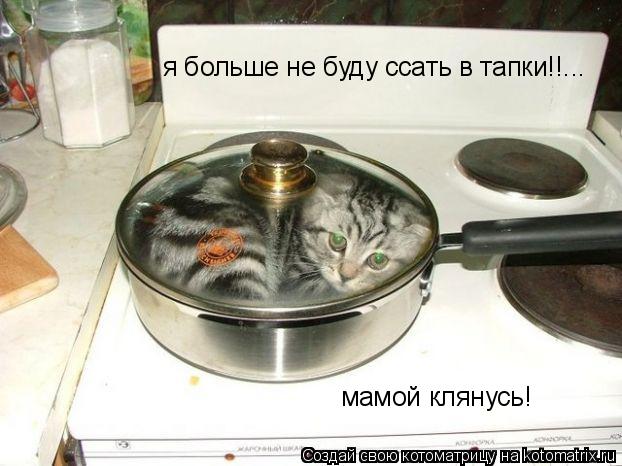 я больше не буду ссать в тапки!!... мамой клянусь!... Котоматрица: я больше не буду ссать в тапки!!... мамой клянусь!
