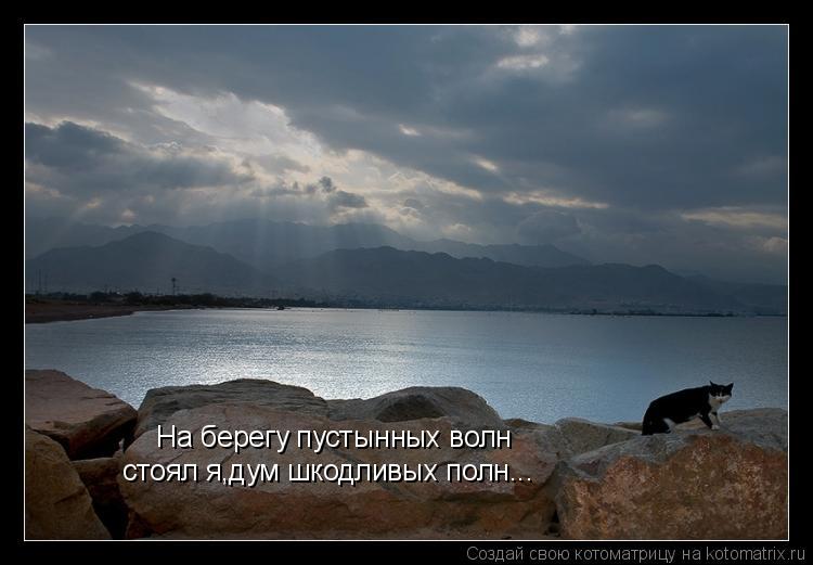 На берегу пустынных волн стоял я,дум шкодливых полн...... Котоматрица: На берегу пустынных волн стоял я,дум шкодливых полн...