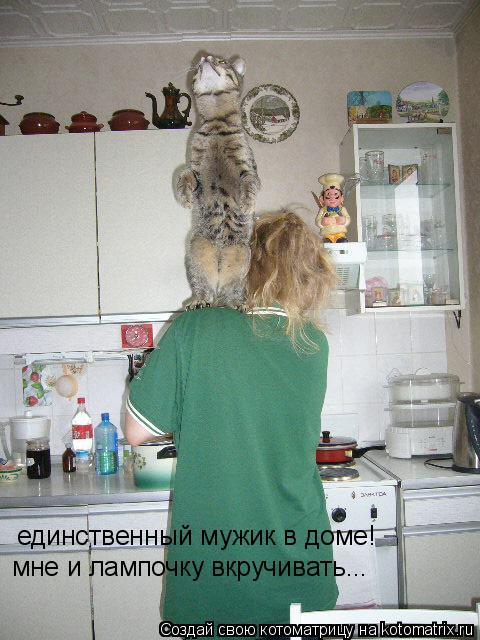 единственный мужик в доме! мне и лампочку вкручивать...... Котоматрица: единственный мужик в доме! мне и лампочку вкручивать...