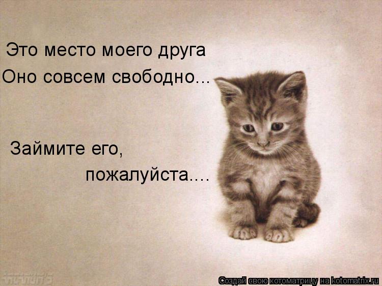 Это место моего друга Оно совсем свободно... Займите его, пожалуйста....... Котоматрица: Это место моего друга Оно совсем свободно... Займите его, пожалуйста....