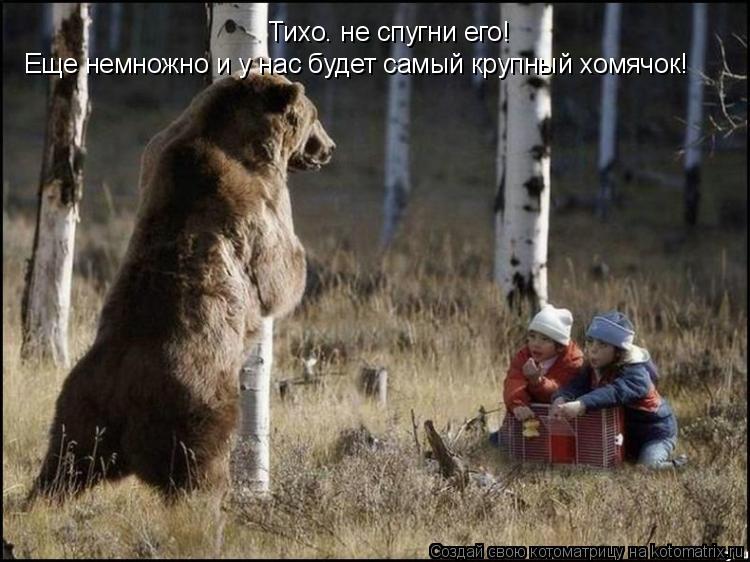 Тихо. не спугни его! Еще немножно и у нас будет самый крупный хомячок!... Котоматрица: Тихо. не спугни его! Еще немножно и у нас будет самый крупный хомячок!