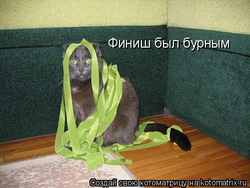 Финиш был бурным... Котоматрица: Финиш был бурным