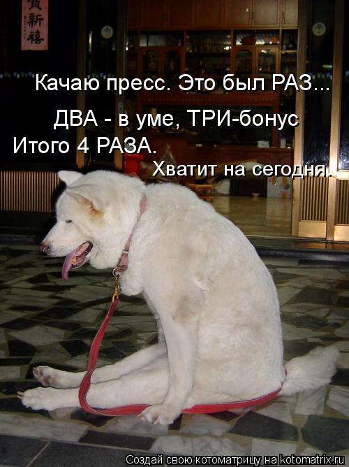 Качаю пресс. Это был РАЗ... ДВА - в уме, ТРИ-бонус Итого 4 РАЗА. Хватит на сегодня.... Котоматрица: Качаю пресс. Это был РАЗ... ДВА - в уме, ТРИ-бонус Итого 4 РАЗА. Хватит на сегодня.