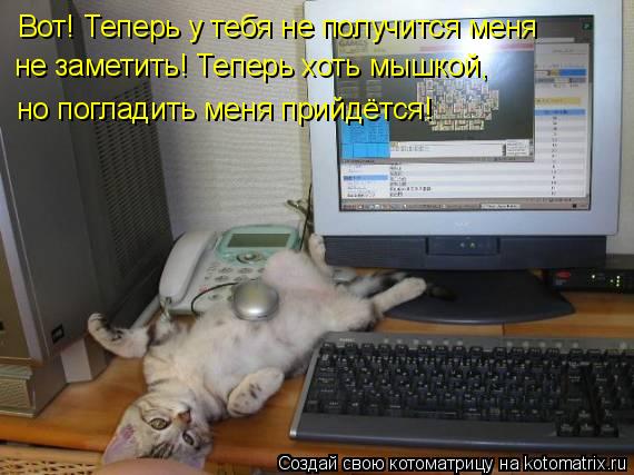 Вот! Теперь у тебя не получится меня не заметить! Теперь хоть мышкой, но погладить меня прийдётся!... Котоматрица: Вот! Теперь у тебя не получится меня не заметить! Теперь хоть мышкой, но погладить меня прийдётся!