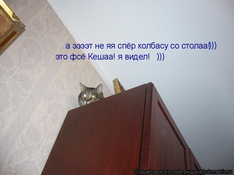 Котоматрица: ))) а ээээт не яя спёр колбасу со столаа! ))) это фсё Кешаа! я видел!