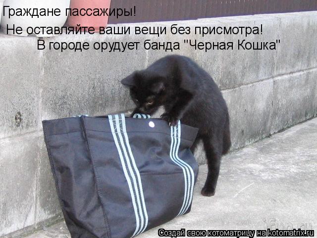 Граждане пассажиры! Не оставляйте ваши вещи без присмотра! В городе орудует банда "Черная Кошка"... Котоматрица: Граждане пассажиры! Не оставляйте ваши вещи без присмотра! В городе орудует банда "Черная Кошка"