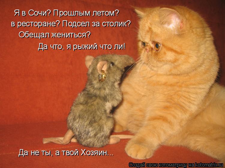 в ресторане? Подсел за столик? Обещал жениться? Да что, я рыжий что ли! Да не ты, а твой Хозяин... Я ... Котоматрица: в ресторане? Подсел за столик? Обещал жениться? Да что, я рыжий что ли! Да не ты, а твой Хозяин... Я в Сочи? Прошлым летом?